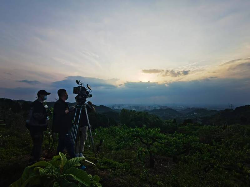 聚焦舟曲县产品宣传视频拍摄公司，用专业实力铸就品牌传播传奇