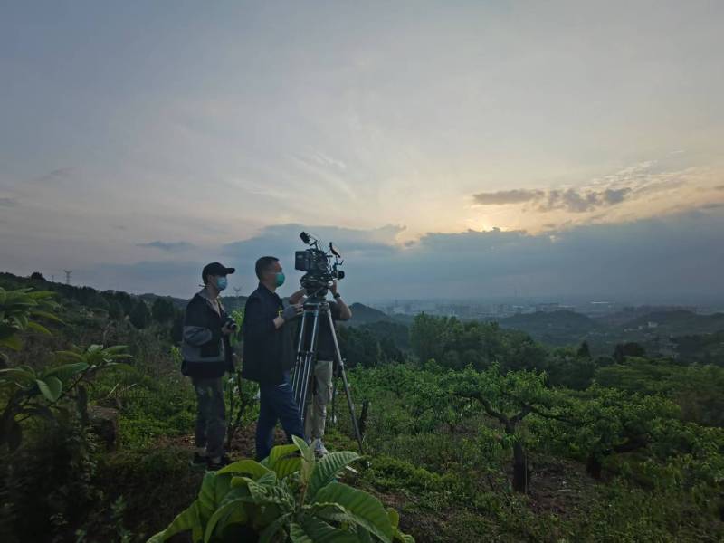 创意破圈！舟曲县电商产品宣传视频用故事化叙事引爆流量