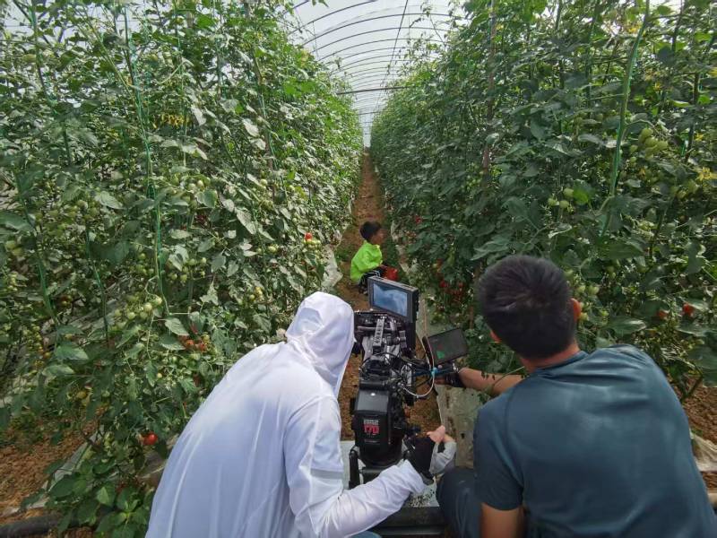 舟曲县产品宣传视频拍摄公司进阶指南，助力品牌抢占传播高地